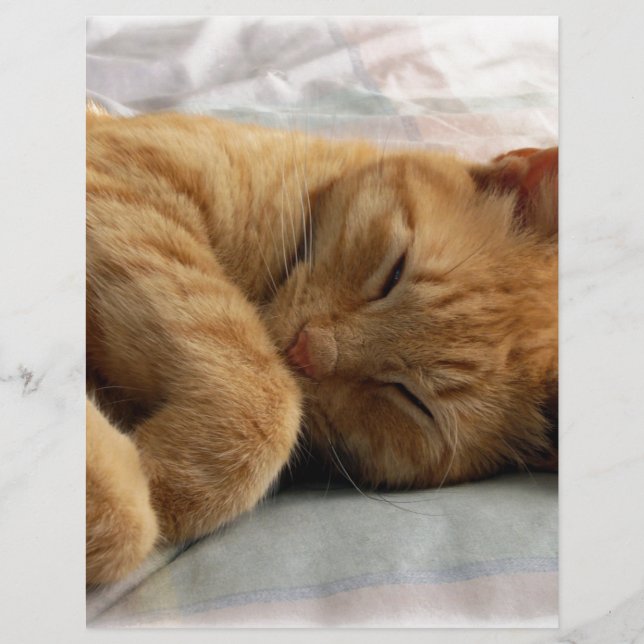 Papier Sweet Dreams (Devant)