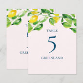 Papier Tableaux de citrons et de feuillage d'été (Devant / Derrière)