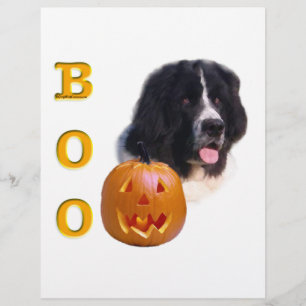 Papier Terre-Neuve Landseer Halloween Boo