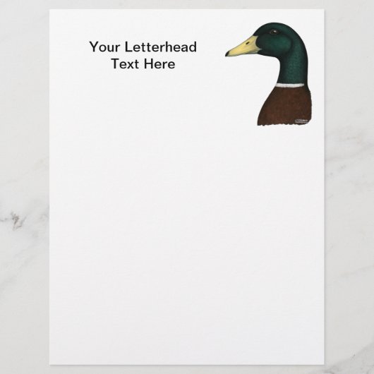 Papier Tête Mallard Drake (Devant)