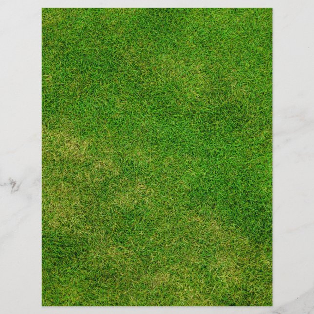 Papier Texture d'herbe verte (Devant)