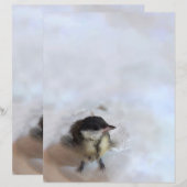 Papier Tidi my Bird le Parus Major (Devant / Derrière)