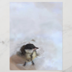 Papier Tidi my Bird le Parus Major