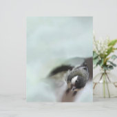 Papier Tidi my Bird le Parus Major (Debout devant)