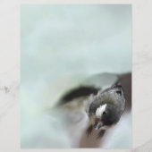 Papier Tidi my Bird le Parus Major (Devant)
