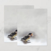 Papier Tidi my Bird le Parus Major (Devant / Derrière)