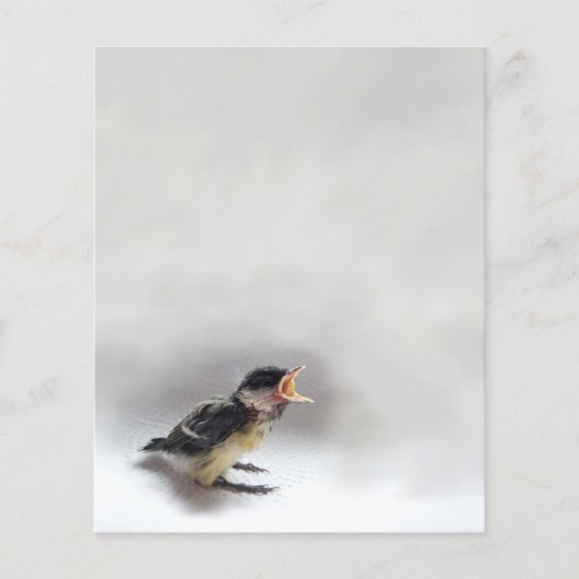 Papier Tidi my Bird le Parus Major (Devant)