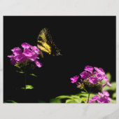 Papier Tiger Swallowtail sur Phlox (Dos)