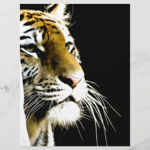 Papier Tigre