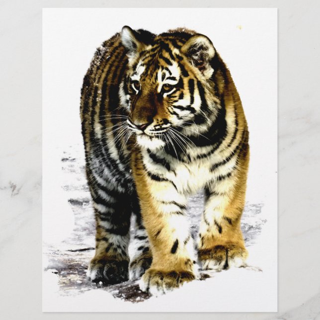 Papier Tigre (Devant)