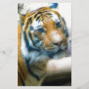 Papier Tigre