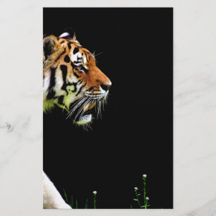 Papier Tigre approchant - Oeuvres d'art d'animaux sauvage