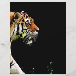 Papier Tigre approchant - Oeuvres d'art d'animaux sauvage
