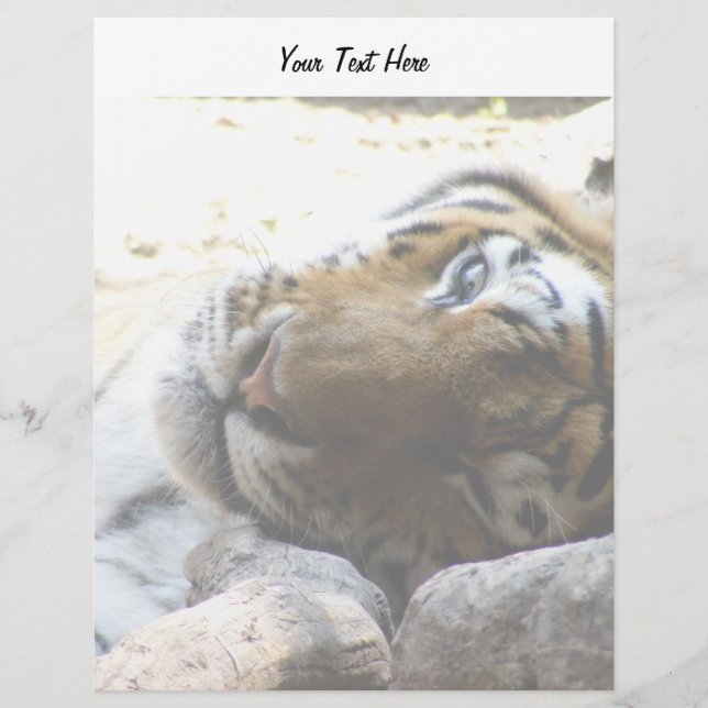 Papier Tigre en train (Devant)