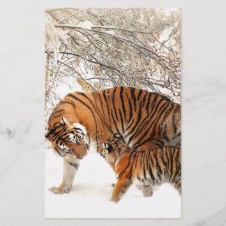Papier Tigres dans la neige