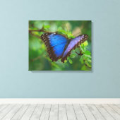 Papier toile Papillon Bleu sur châssis (Insitu (Plancher de Bois))