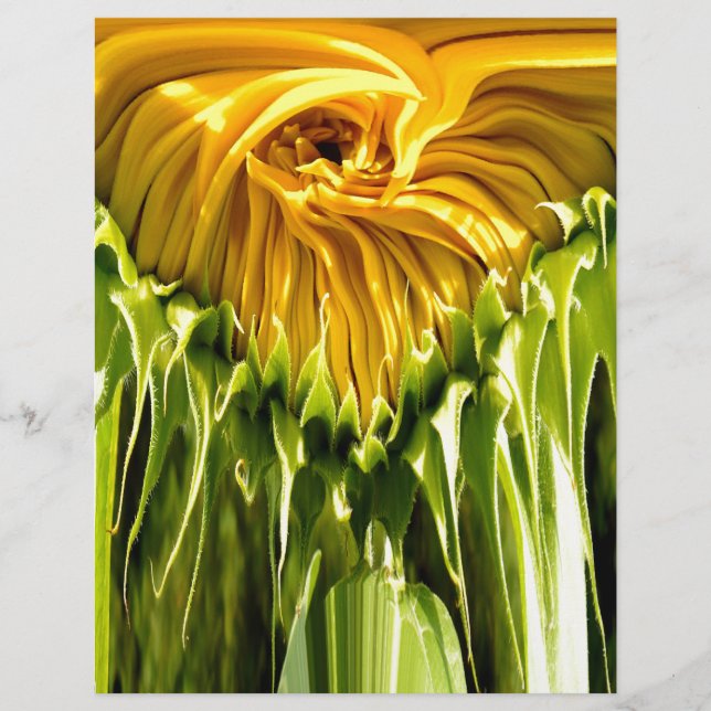 Papier Tournesol rétro funky abstrait, géométrie effrayan (Devant)