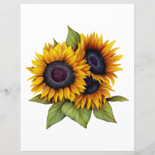 Papier Tournesols
