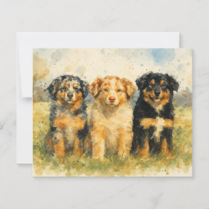 Papier Trio aquarelle des bergers australiens en campagne