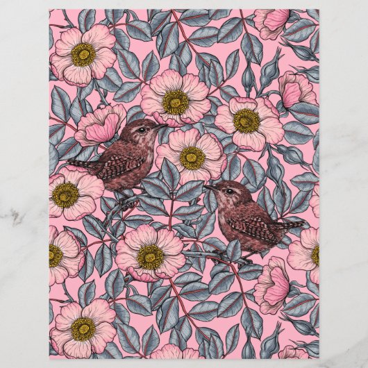 Papier Troglodytes dans les roses (Devant)