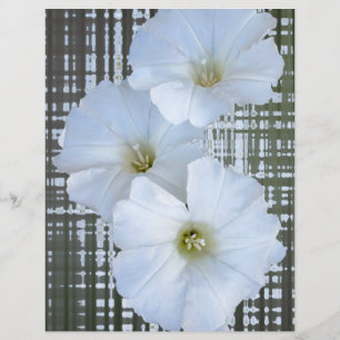 Papier trois fleurs blanches