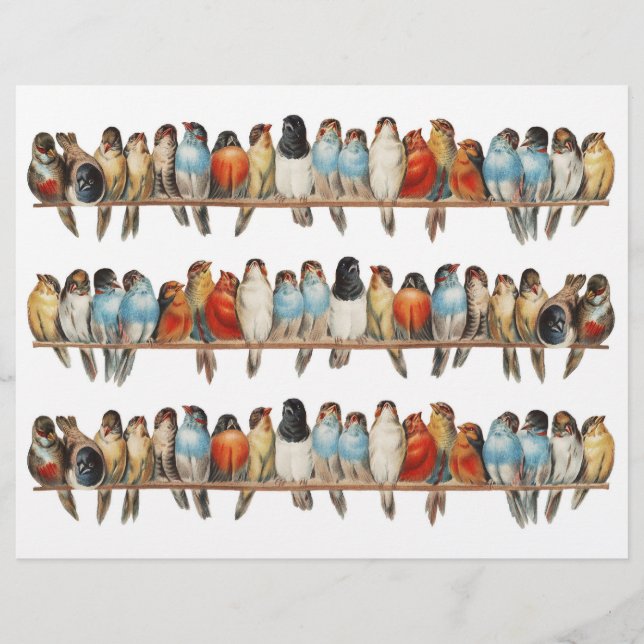 Papier Trois rangées d'oiseaux vraiment Vintages (pas d'I (Devant)