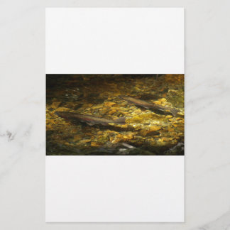 Papier Truite d'eau salée.