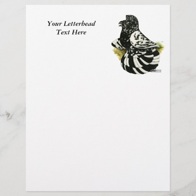 Papier Trumpeter Pigeon Dark Splash (Devant)