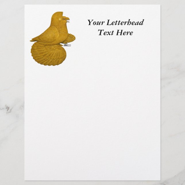 Papier Trumpeter Pigeon jaune (Devant)