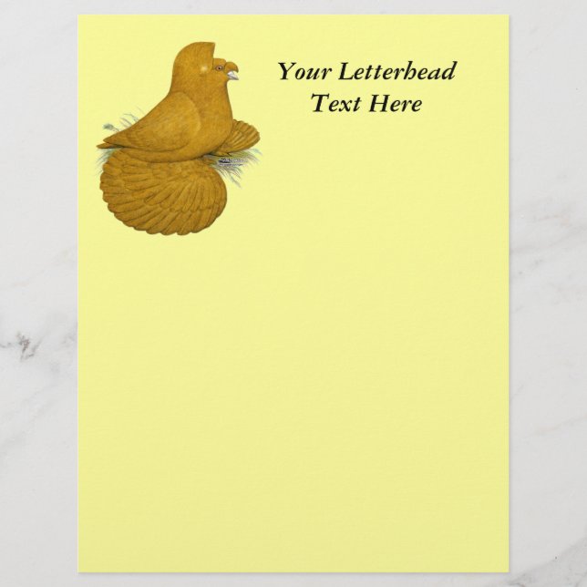 Papier Trumpeter Pigeon Jaune (Devant)
