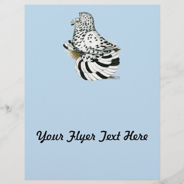 Papier Trumpeter Pigeon Light Splash (Devant)