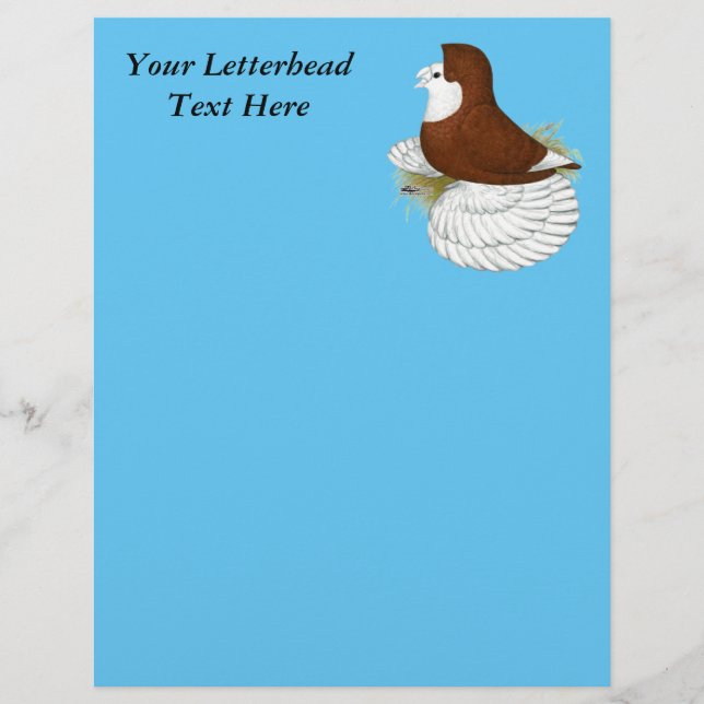 Papier Trumpeter Pigeon Red Baldhead (Devant)