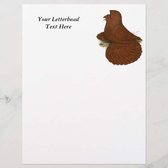 Papier Trumpeter Pigeon rouge (Devant)