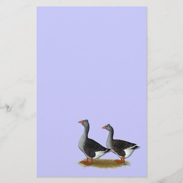 Papier Tufted toulouse Geese (Devant)