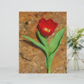 Papier Tulipe jaune et rouge (Debout devant)