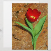 Papier Tulipe jaune et rouge (Devant / Derrière)