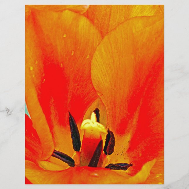 Papier Tulipe orange (Devant)