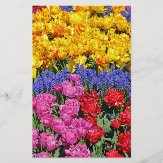 Papier Tulipes et fleurs de muscari (Devant)