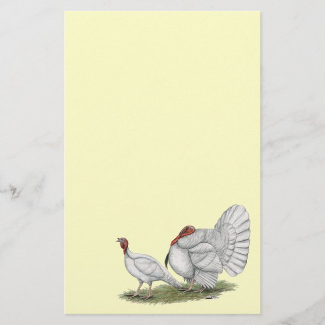 Papier Turkeys White Holland (Devant)