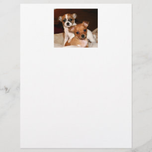 Papier, twee Schattige Puppies