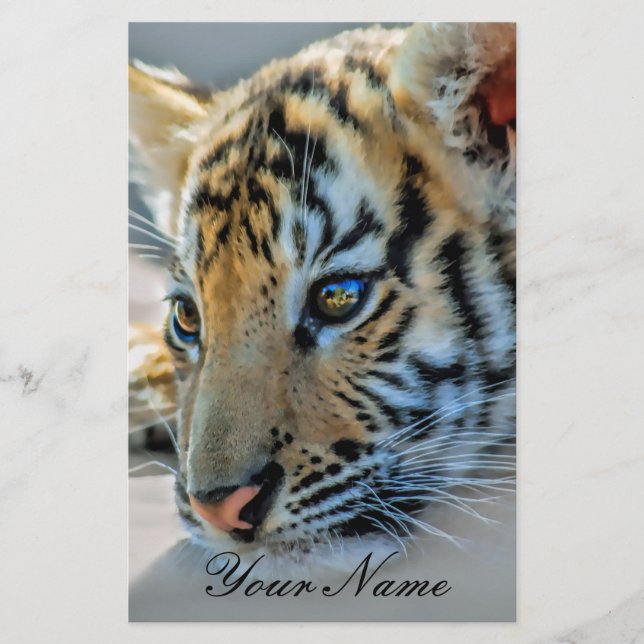 Papier Un bébé tigre mignon (Devant)
