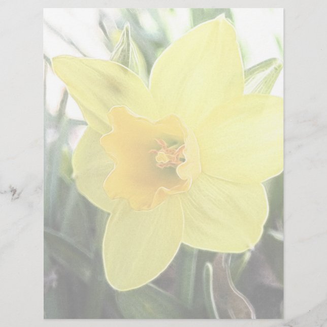 Papier Une Daffodique Jaune Gaie (Devant)