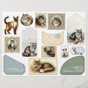 Papier Une grande enveloppe plus de beaux chats dans des