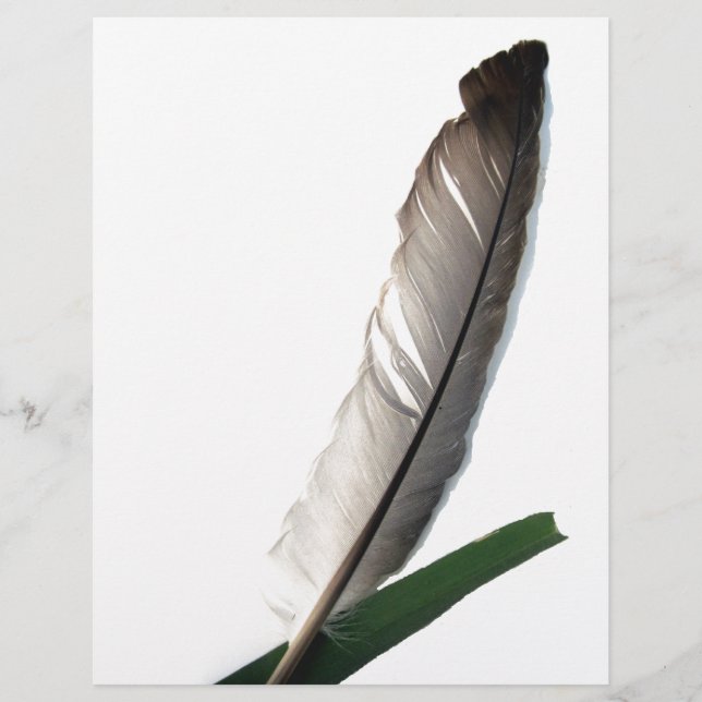 Papier Une plume (Devant)