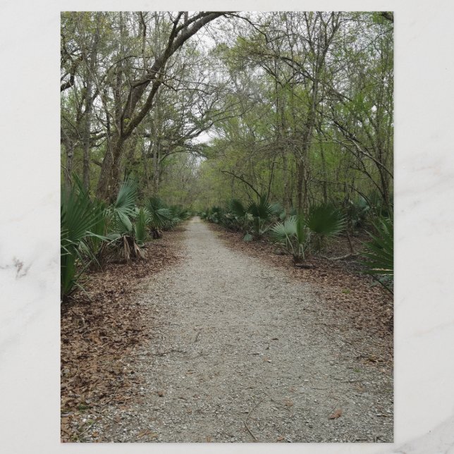 Papier Une promenade dans la nature (Devant)