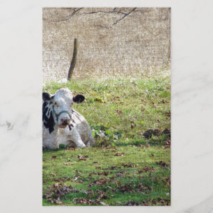 Papier Vache laitière reposante
