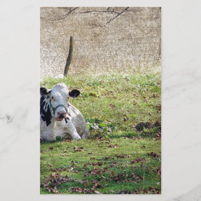Papier Vache laitière reposante (Devant)