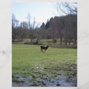 Papier Vache solitaire