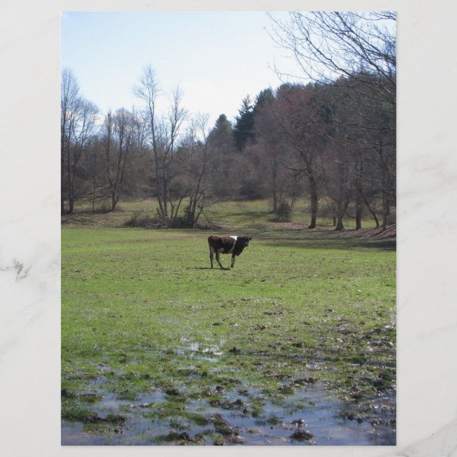 Papier Vache solitaire (Devant)