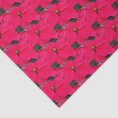 Papier van het flessenblad Red Poinsettias (Detail)